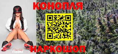 прущие крисы Обь