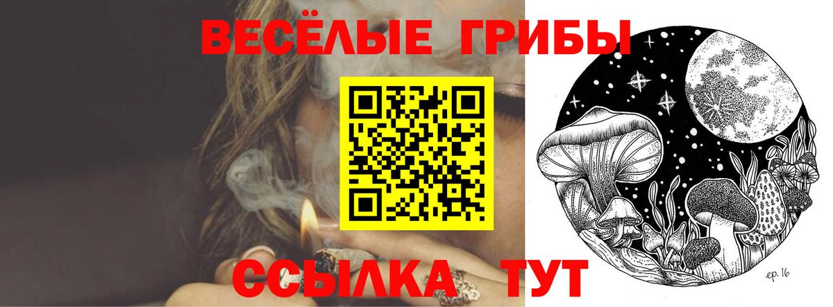 Галлюциногенные грибы Psilocybe  дарнет шоп  Галлюциногенные грибы мицелий  Архангельск  Вход с VPN 