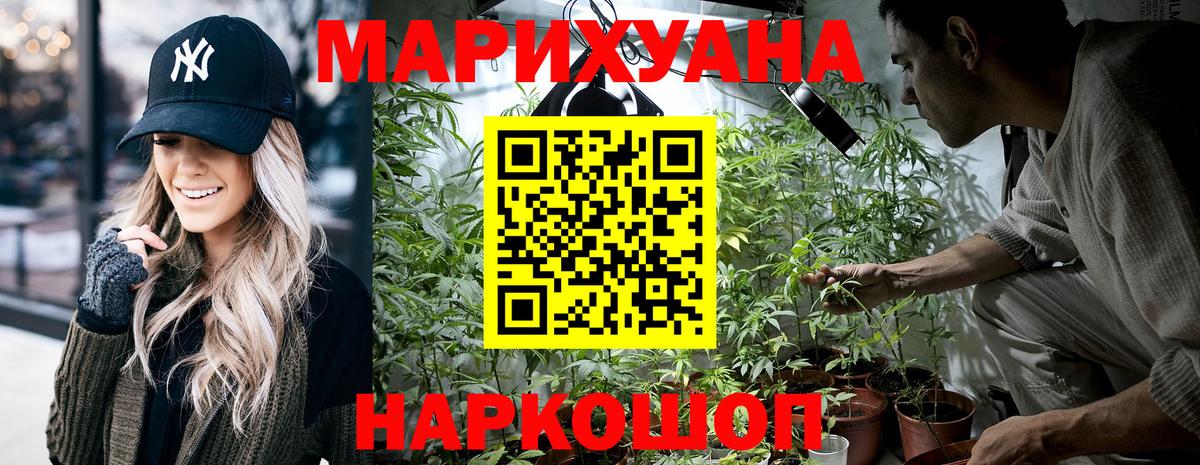 Конопля сатива Архангельск